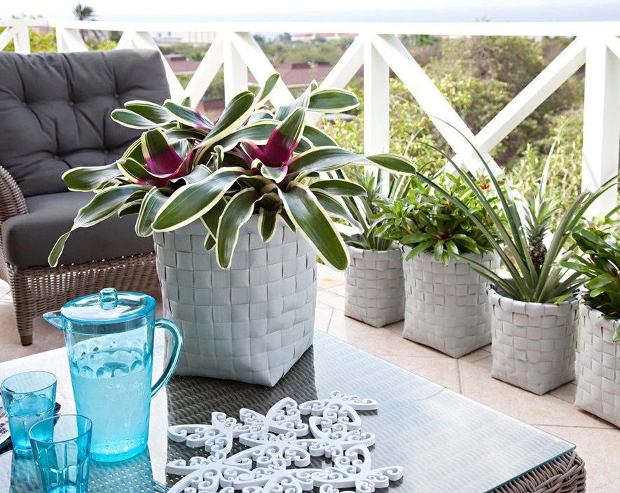 bromelia-inspiratie-modern-klasiek-06